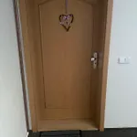 Apartment Meluzina *