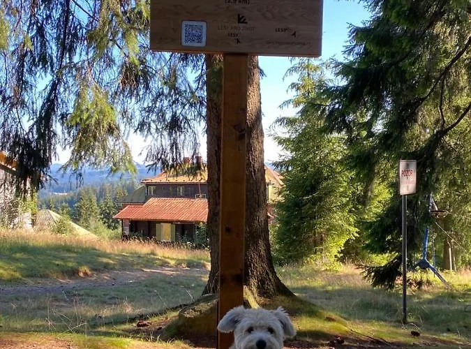 Apartmán Meluzína *